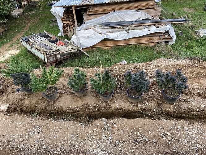 Growreport Bild 1