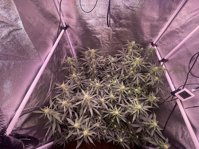 Growreport Bild 2