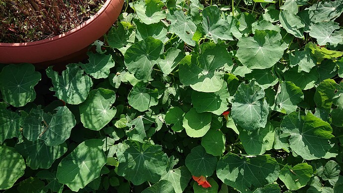 Growreport Bild 11