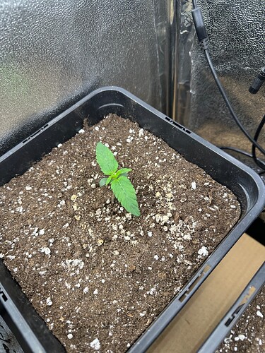Growreport Bild 7