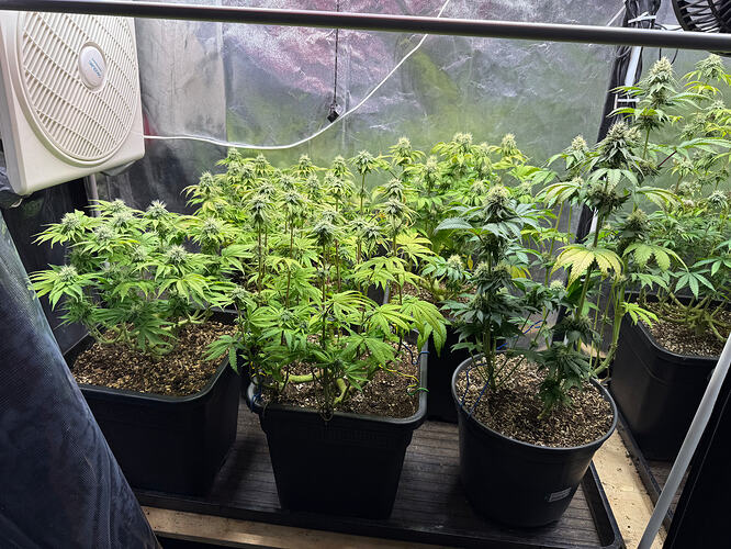 Growreport Bild 1