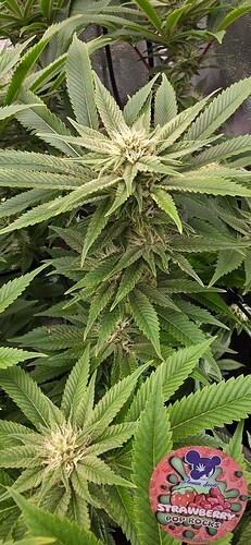 Growreport Bild 17