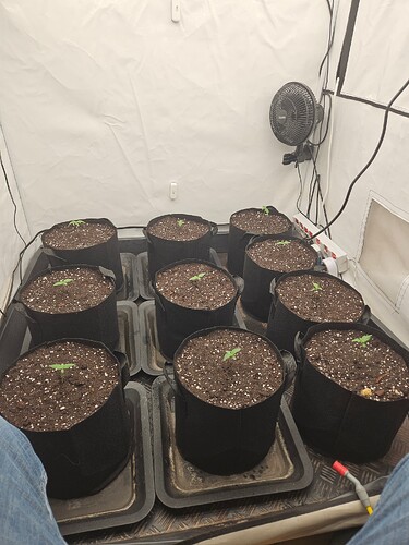 Growreport Bild 4