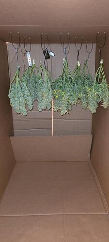 signal-2024-04-16-19-03-22-779-2