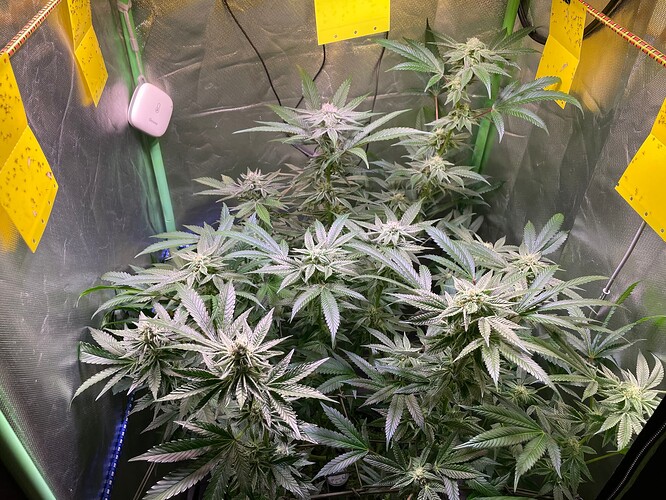 Growreport Bild 23