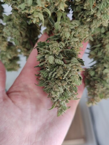 Growreport Bild 26