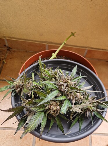 Growreport Bild 18