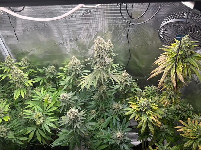 Growreport Bild 11