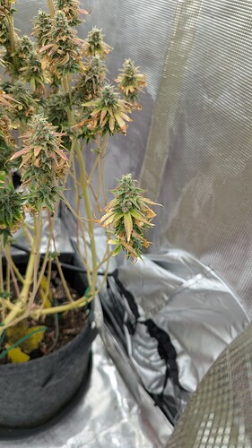 Growreport Bild 9