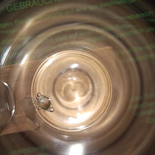 Growreport Bild 29