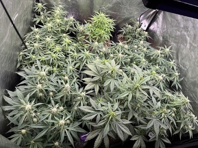 Growreport Bild 10