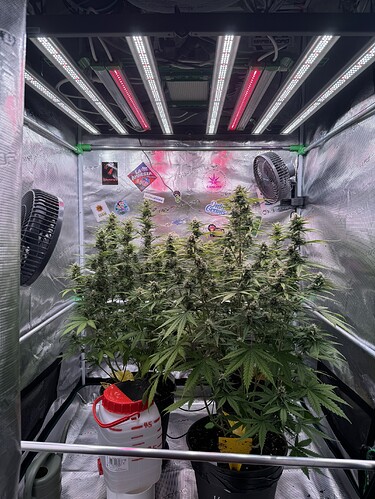 Growreport Bild 18