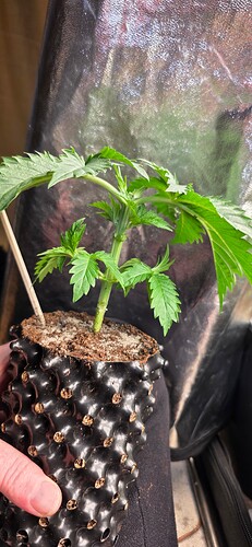 Growreport Bild 22