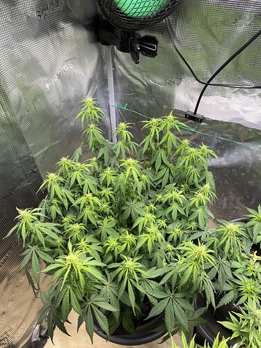 Growreport Bild 14