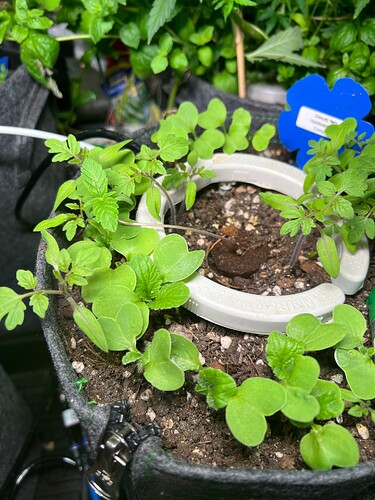 Growreport Bild 14