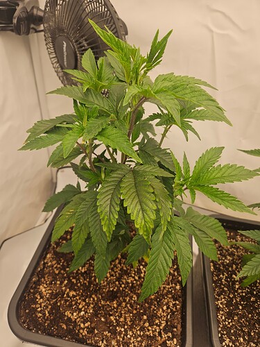 Growreport Bild 15