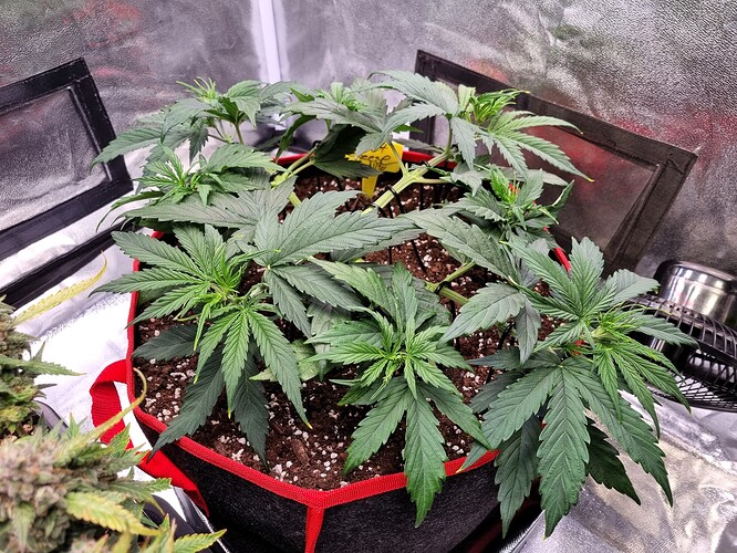 Growreport Bild 9