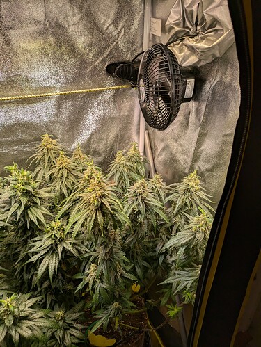 PXL_20240624_181415866