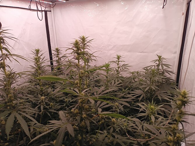 Growreport Bild 11