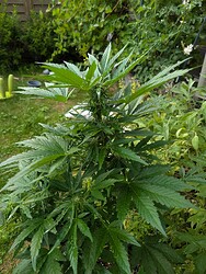 PXL_20250614_165948436