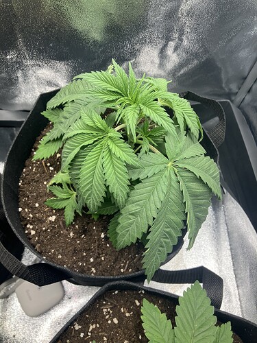 Growreport Bild 10