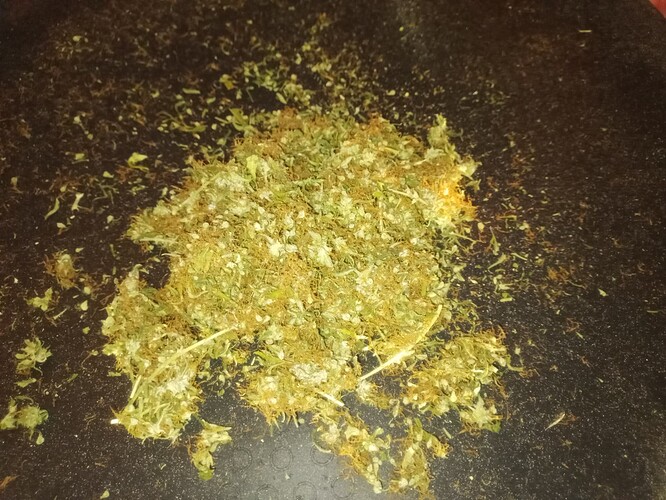 Growreport Bild 25