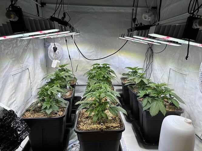 Growreport Bild 4