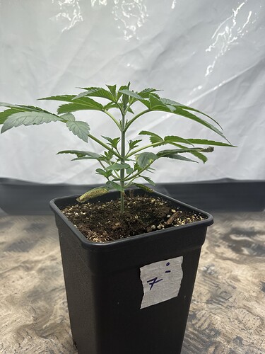 Growreport Bild 16
