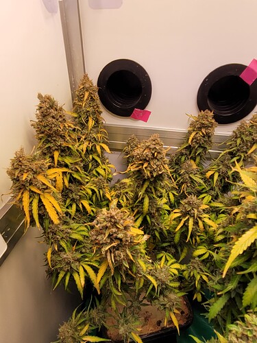 Growreport Bild 3