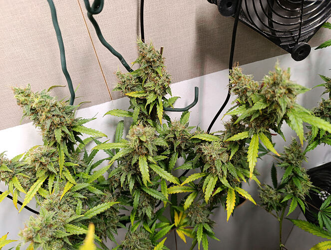 Growreport Bild 9