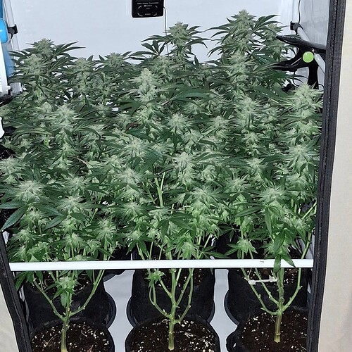 475528402_122166565478293599_280510557862657636_n