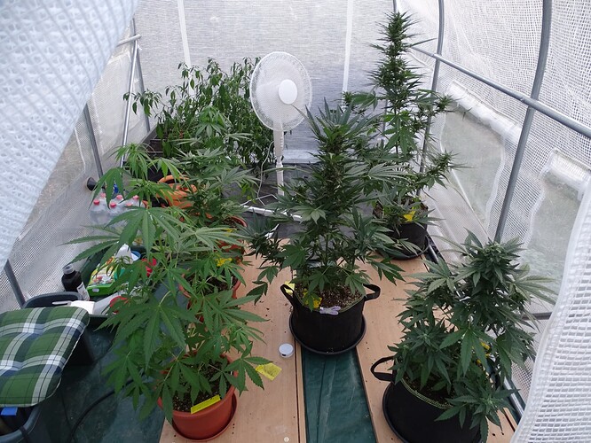 Growreport Bild 13
