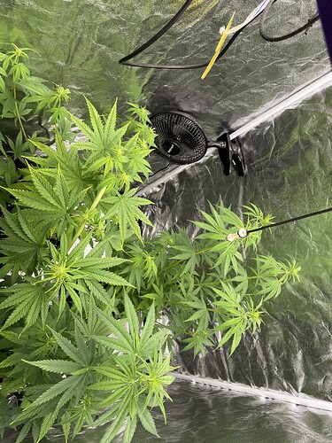 Growreport Bild 9