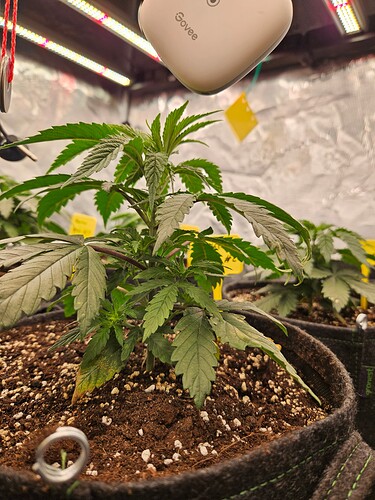 Growreport Bild 21