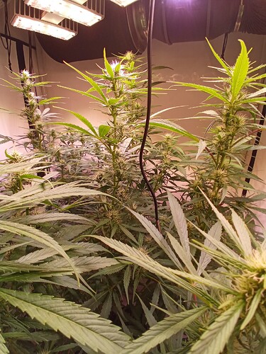 Growreport Bild 12