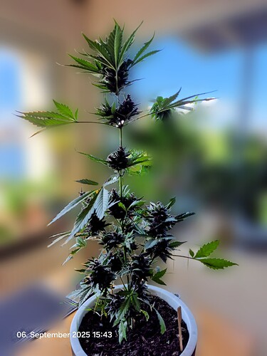 Growreport Bild 17