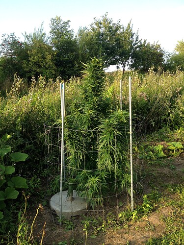 Growreport Bild 20