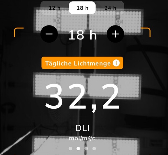 Growreport Bild 3