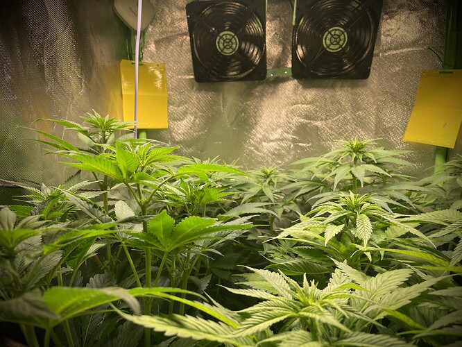 Growreport Bild 13