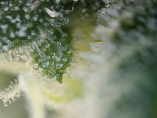 Growreport Bild 13