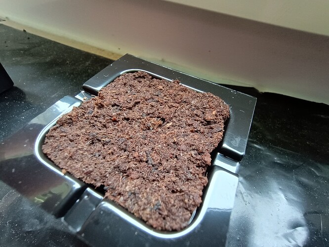 IMG_20240420_091643674_HDR