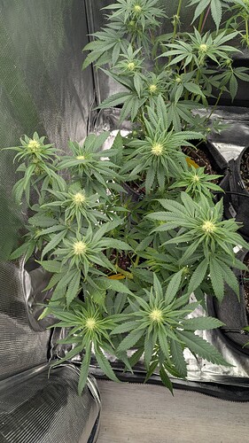 Growreport Bild 14