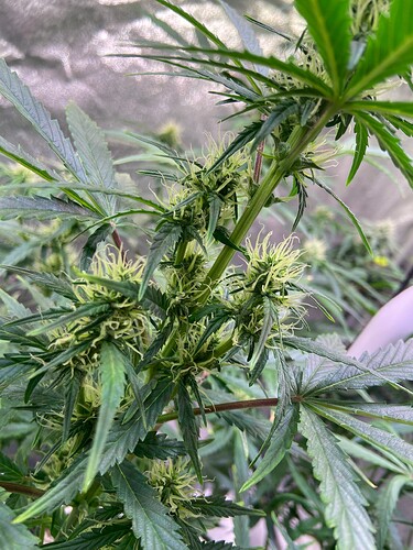 Growreport Bild 11