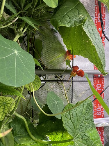 Growreport Bild 4