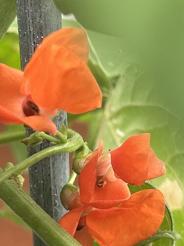 Growreport Bild 8
