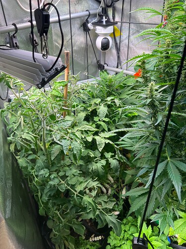 Growreport Bild 17