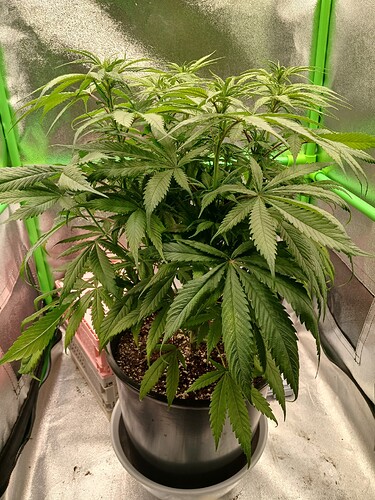 Growreport Bild 17