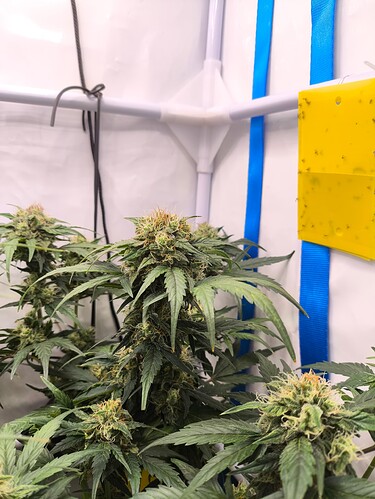 Growreport Bild 24