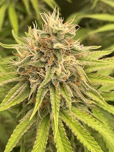Growreport Bild 14