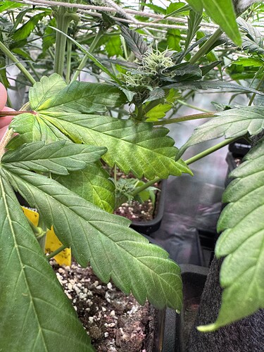 Growreport Bild 24
